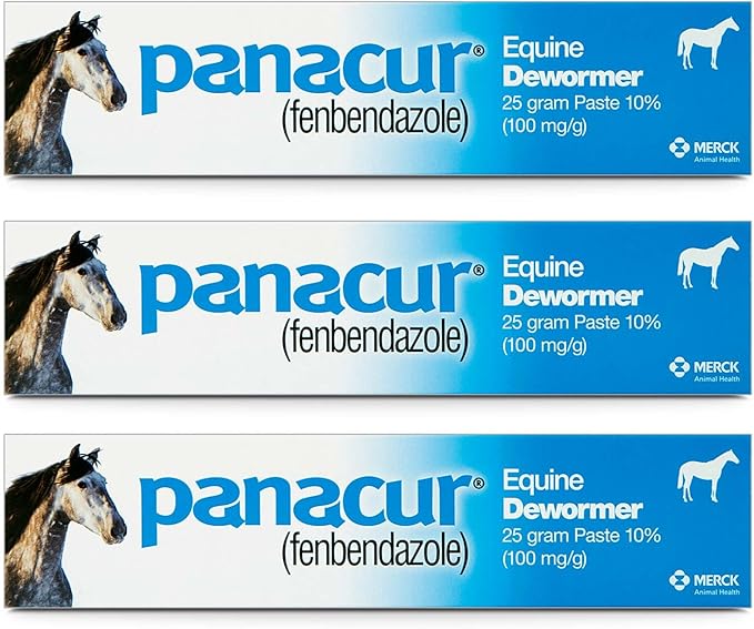 Panacur Horse Dewormer Paste 10% Fenbendazole 3 Pack Equine Paste